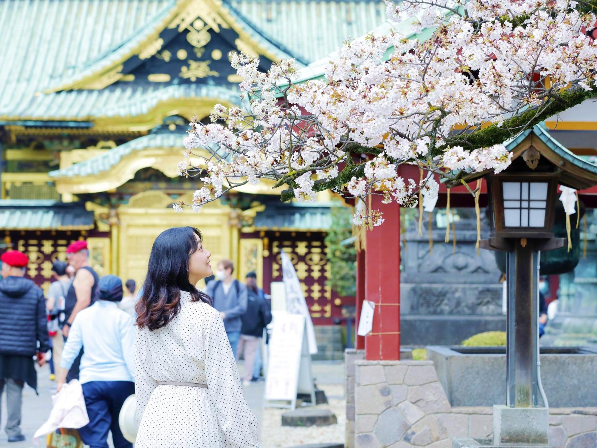&Here Tokyo Ueno المظهر الخارجي الصورة